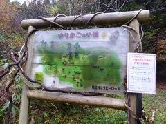 この「ゆりかごの小径」、実は大山隠岐国立公園毛無山の麓に位置していて、大山のブナ林を歩くと思っていたのは、σ(^_^)達夫婦の早とちり(^^ゞ

でも結論から言うと、参加してとても良かったと断言できるよん(^-^)v

距離にして約２キロを、ガイドさんと一緒にゆっくり歩いて９０分、様々な植物について学んだり、このあたりの歴史を紐解いたり、そして何より、森の清浄な空気を吸ってリフレッシュ
したり(^_-)-☆

しか〜も
自称「天気を操る男」なＭｙ夫（笑）
とにかく今まで一緒に旅行した時は、どんなに雨予報が出ていても、曇りのままもったり、歩き観光時だけ止んだりというパワーの持ち主（笑）
で、今回も、あれだけ降っていたのが、止むかもしくはごく弱い霧雨、の繰り返しで、全く支障なく最後まで歩けたという・・

・・なのでとりあえず夫にも感謝しとく（笑）