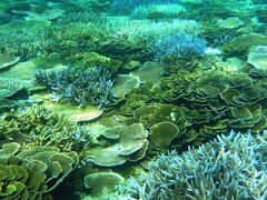宮古島の南、シギラリゾートの少し東側にある
イムギャーマリンガーデンの海の中です。
こちらも、岸からすぐの所にはあまりサンゴは無いですが、少し沖に出ると
とっても綺麗なサンゴ礁の群生が見れます。（200メーター程沖）

でも、潮の流れには十分気を付けて下さいね。

大神島の琉球菊花サンゴとイムギャーマリンガーデンの沖の綺麗なサンゴ礁の
群生のポイントなどが入った動画はこちらからどうぞ→https://www.youtube.com/watch?v=ZJwxix53188
--PS--
残念な事に2017現在はこの写真の様に綺麗では無くなっている様です。