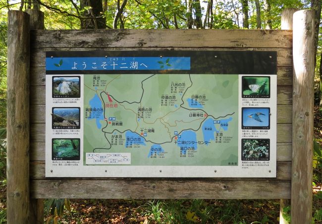 津軽出羽の紅葉 白神の湖沼群十二湖と千畳敷をめぐります 白神山地 青森県 の旅行記 ブログ By Yamajiさん フォートラベル
