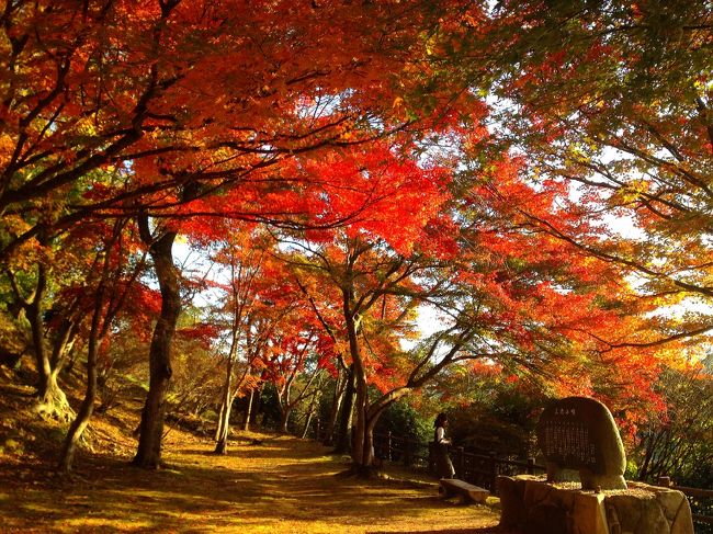 尾関山公園へ紅葉ドライブ 三次 広島県 の旅行記 ブログ By あっこさん フォートラベル