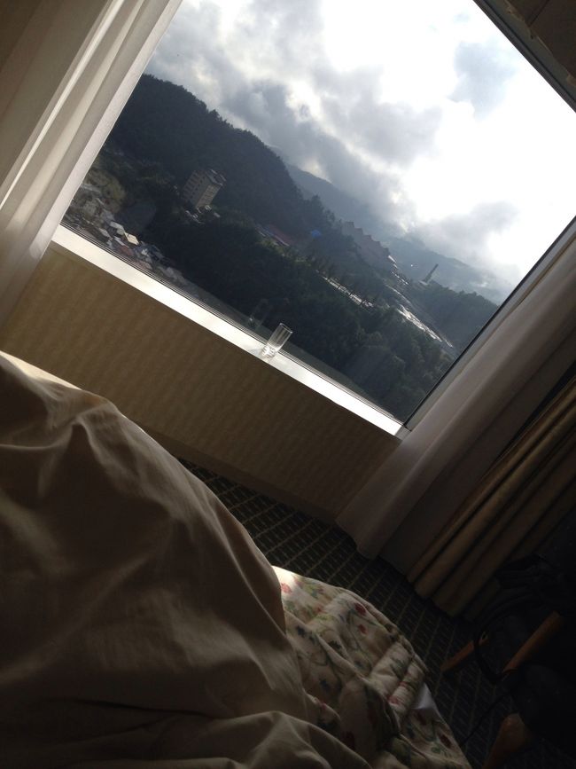 朝は8時ごろ起床。<br />お酒も入ってたのでぐっすり！<br />日はさしてるけど曇り…。