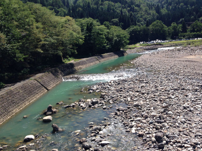 綺麗なエメラルドグリーンしてますわ。