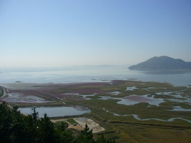 乾燥台地（韓国語） 順天湾湿地25年3月韓国の旅⑦2日目 | ふらっとぶらっと旅日記