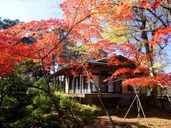 ☆須賀川牡丹園茶室　花神亭

須賀川牡丹園は１０ヘクタール（東京ドームの３倍の広さ）の園内に２９０種・７,０００株の牡丹が咲き誇り世界最大級の牡丹園です。

須賀川牡丹園の歴史は２４５年前の明和三年（１７６６年）須賀川で薬種商を営んでいた伊藤祐倫が牡丹の根を薬用にしようと苗木を摂津（現在の兵庫県宝塚市）から取り寄せ栽培したのが始まりといわれています。
その後、明治の初期に柳沼家〜市に受け継がれ種類、株数を年々増やしてほぼ現在の形をつくり昭和七年には国の名勝に指定され現在にいたります。
