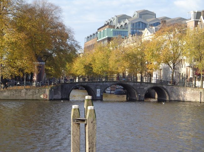 迷いながら半ギレで撮った写真（悪いのは自分なのに）。