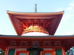 「壇上伽藍」を足早に見学。

思っていたより横長でどっしりした印象の「根本大塔」。

ひと回しすれば、一切経を一通り読誦した功徳が得られると
言われている「六角経蔵」。
夫と二人では押しても引いてもビクともせず…。
