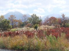 　飯田高原からの九重連山の展望を楽しんだ後、今度はやまなみハイウエーを走って湯布院へと向かいました。
　私達、今回九重のいい秋に出会えました。