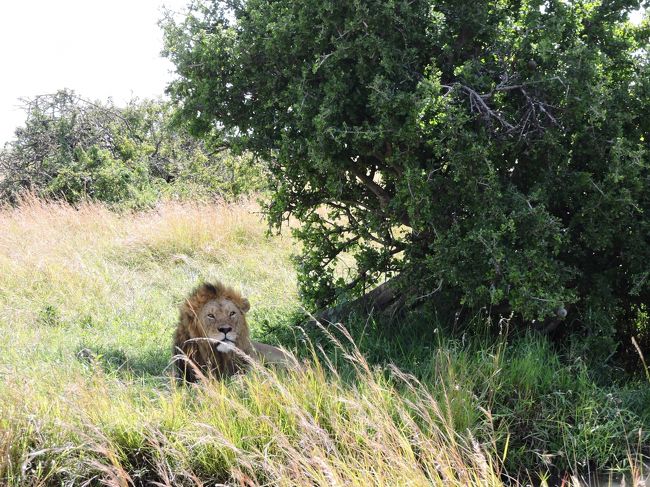 何度かエンジンを空吹かし、やっと起きてくれた♪