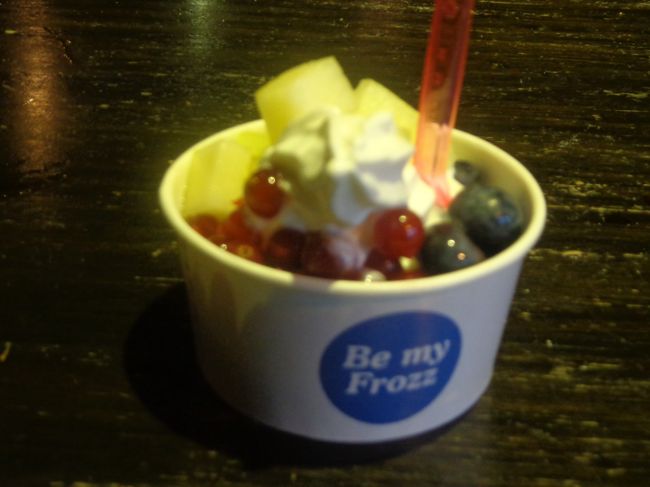 とりあえずバイエンコルフで母へのお土産の手袋を購入して、フードコートのフローズンヨーグルトで一息つきます。