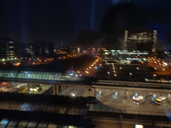 最後のホテルからの夜景。