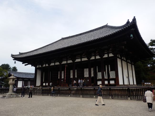 仮金堂です。中金堂が再建中なので、仮のものです。平成30年まで待ちましょう。