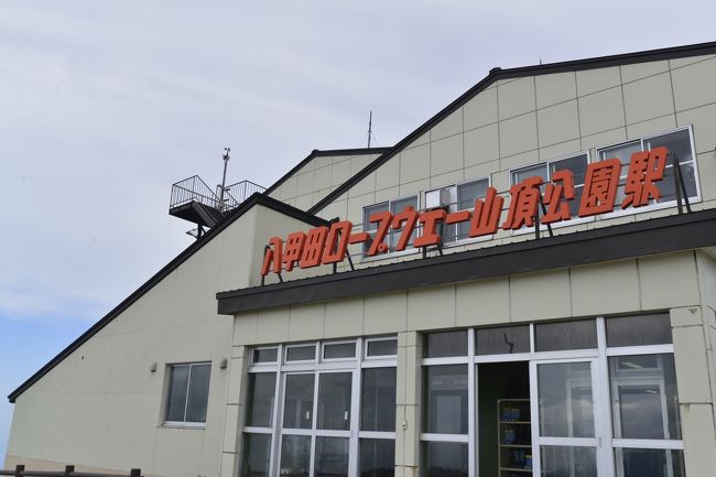 これで楽します。