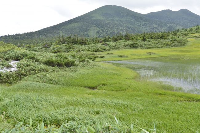 八甲田大岳方面を望みます