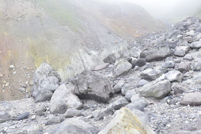 きつめの道程でした