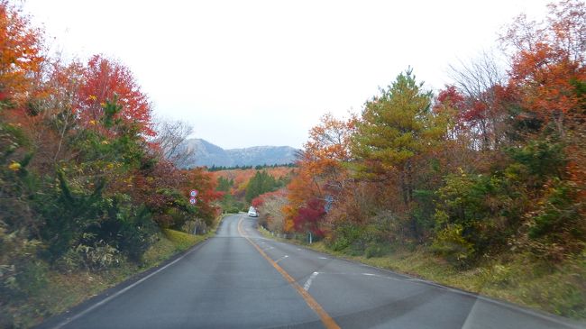 急に思い立って行った 熊本 大分 レンタカーでドライブ 観光と紅葉狩り１泊２日の旅 紅葉見頃の 久住高原ロードパーク 往路ドライブ編 ２０１４年１１月 久住高原 大分県 の旅行記 ブログ By Masapiさん フォートラベル