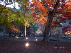 月の石もみじ公園