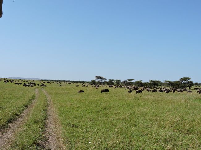 ヌーは相変わらず、うっじゃうじゃいます♪
