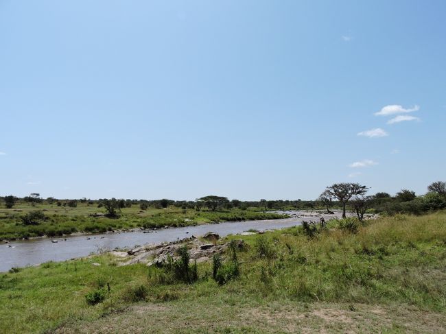 タンザニアとケニアの国境、マラ川。<br />向こう岸はケニアです。<br />