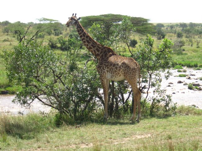 『なに見てんのよぉ〜』