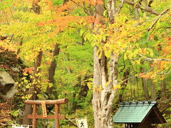 バスで移動して、駒ヶ岳神社の岩石にやってきた。
この神社の脇には溶岩と火山灰による溶結凝灰岩の巨岩「大岩」があり、岩の割れ目を通り抜けることができます。
みんなで通り抜けたけど、何かご利益あるかな〜？