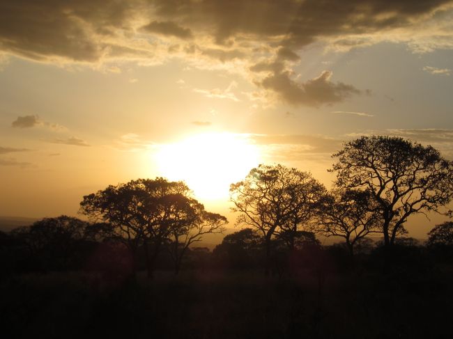 今日は最上の一日でした♪<br /><br /><br />地球広しと言えど、あそこまで多くのヌーはココでしか見る事ができないのでは？<br />Big5と呼ばれる動物たちはセレンゲティでなくとも見られるので<br />時期を合わせ、ヌーだけ（他はあくまでオマケ）を見に訪れる価値は充分あります！<br />私なんて今日だけで経験値が5ランクくらい一気にレベルアップした気分です＾＾