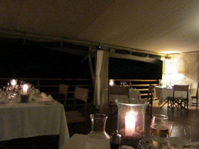 【Bushtops 2日目（6月28日）夕食】<br /><br /><br /><br /><br /><br />今日も素晴らしい一日でした！乾杯♪<br />