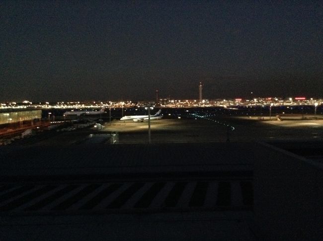 確かに滑走路は見えますが、、、風向きなどによって使われる滑走路が異なる羽田。<br />なんだか、駐機場ビュー状態で、がっかり。<br />