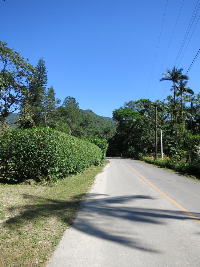 街道に入って暫く、田舎の風景の中を進みます。