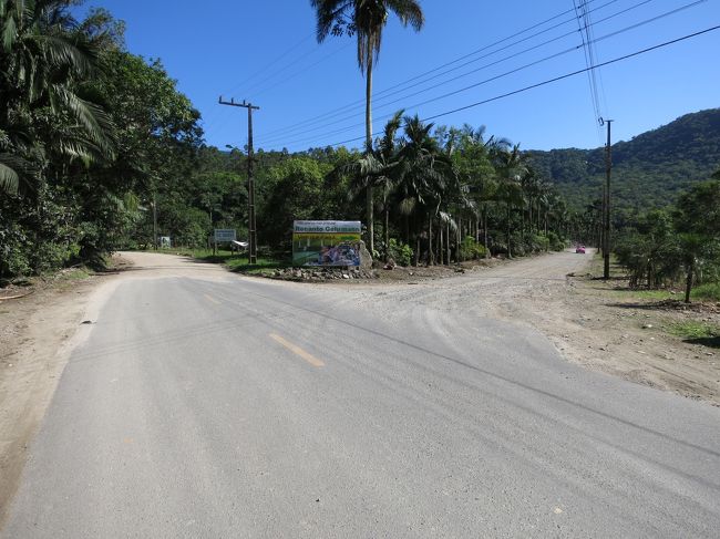 途中で土道に変わります。左の方に進みます。