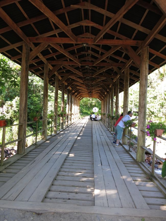 渡ってみます。