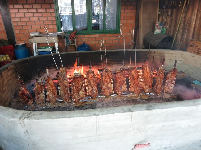 ジョインヴィレに長く滞在するなら、ここで半日位、川で遊びながらコステラを食べてビール飲みたいですよね。今回は次の予定があったので、残念ながら帰りました。<br /><br />ボニータ街道の風景は普通ですが、コステラが食べたいです。<br /><br /><br />※ 続きます。次回は少し面白くなっていきます。<br />