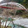 トクトク切符で巡る四国温泉紀行と安芸の宮島紅葉狩り☆道後温泉(愛媛)編②