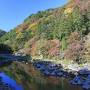 愛知の紅葉と歴史を巡る旅（11月15日）