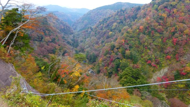 九酔渓方向です。