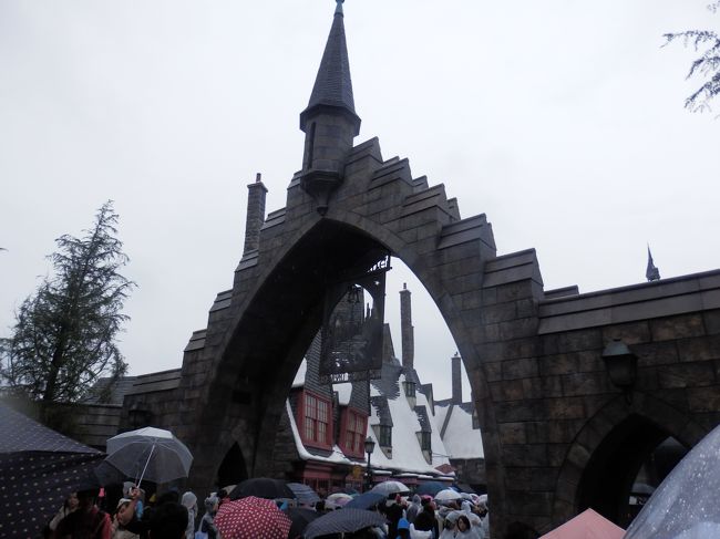 入口の森を通り抜けるといよいよハリーポッターエリアの入り口です。