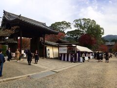 献茶式のある醍醐寺