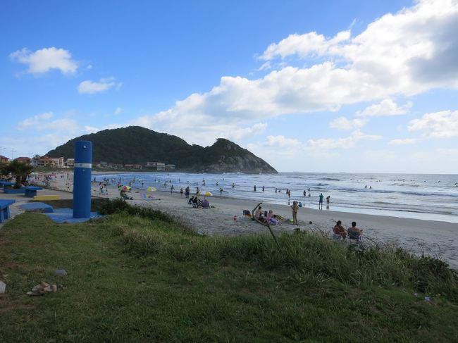 プライニャはこんな感じです。