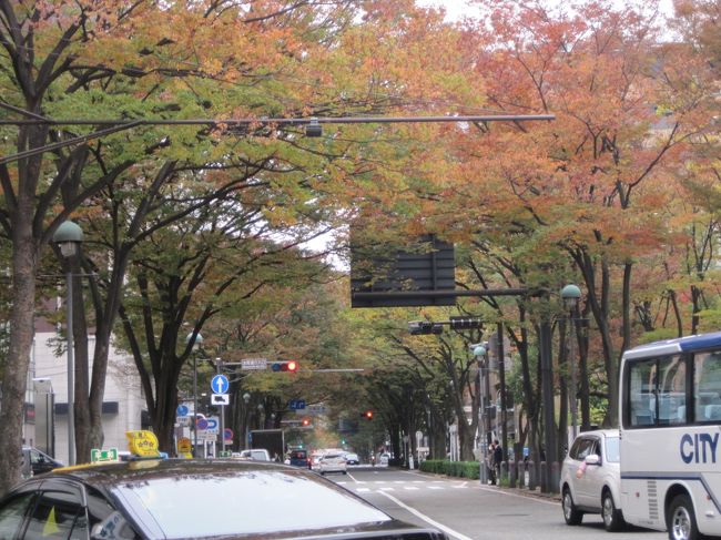 少しずつにぎわいだしてきた横浜の街。<br />遠足らしい小学生軍団も歩いていました。