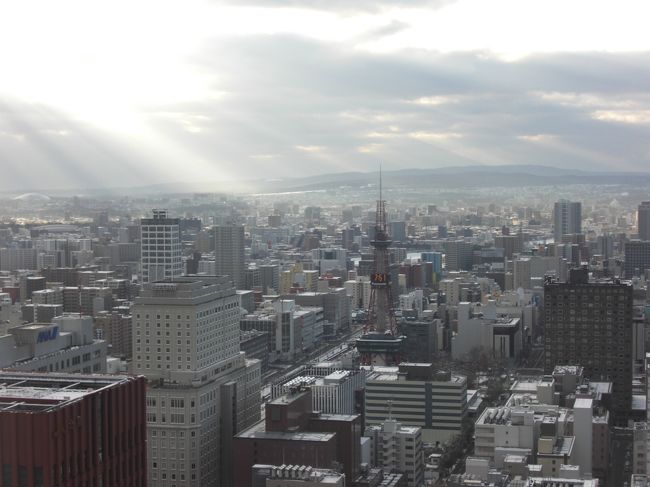 お天道様からの光もいい感じ♪