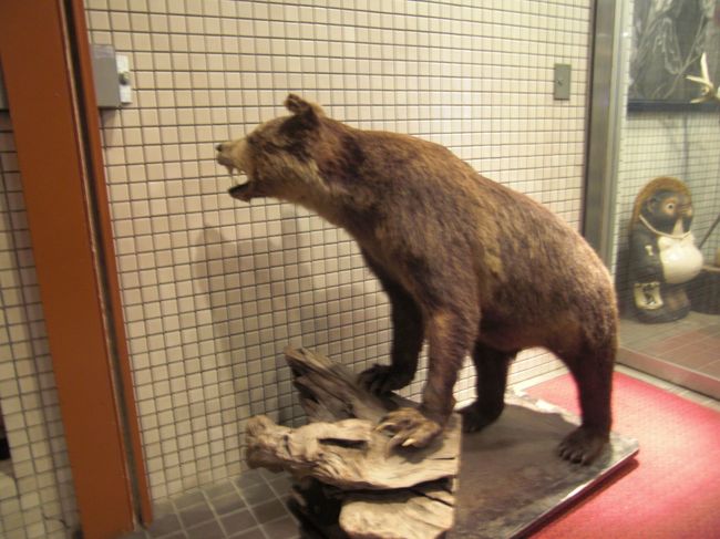 熊のはく製がお出迎えしてくれます