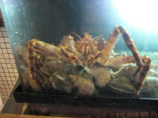 水槽にいたカニ<br /><br /><br />この子は。。。。予算の関係上頂きませんでした（笑）