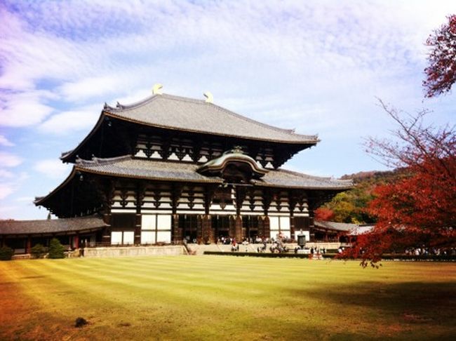 旅行団仲間は大仏に興味ないらしく、<br />私は娘だけ連れて大仏様拝見。