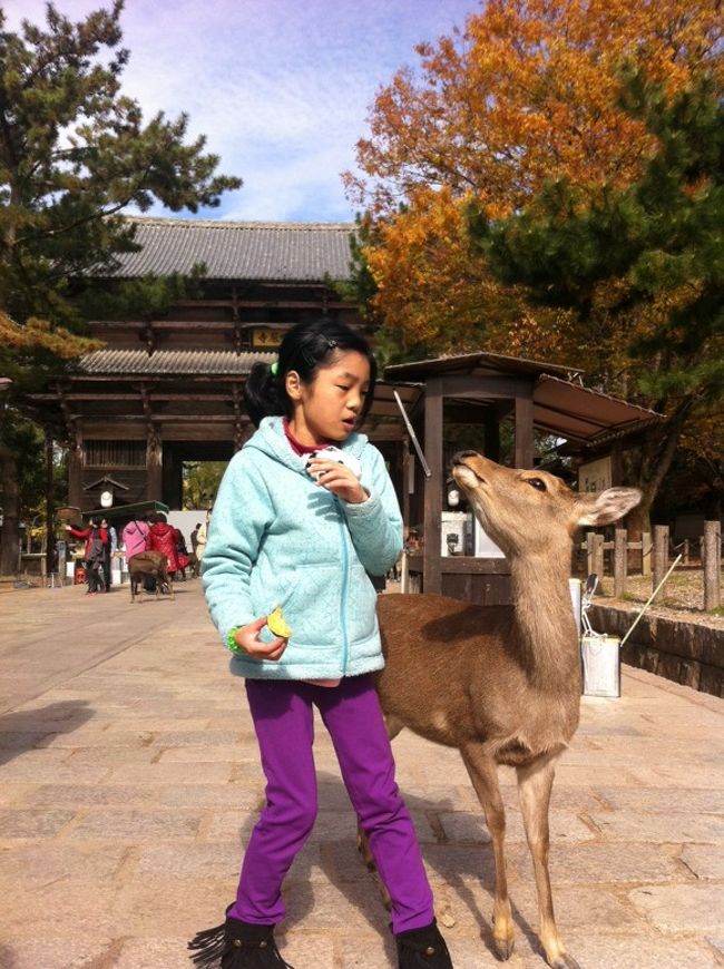 娘：うわぁっ！びっくりするやん。　持ってないわよ。これは芋！