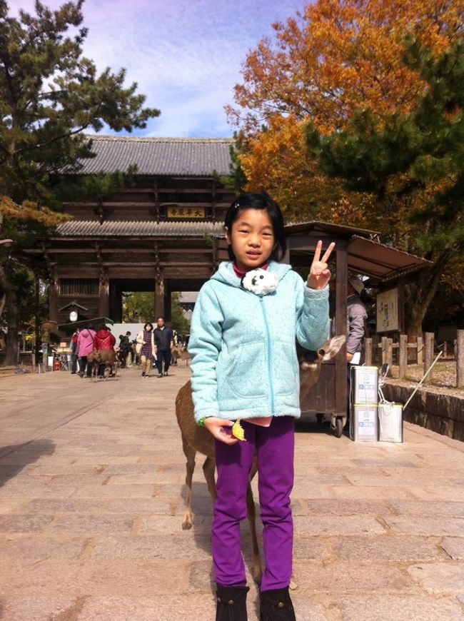 鹿子ちゃん：鹿せんべい持ってるの〜？