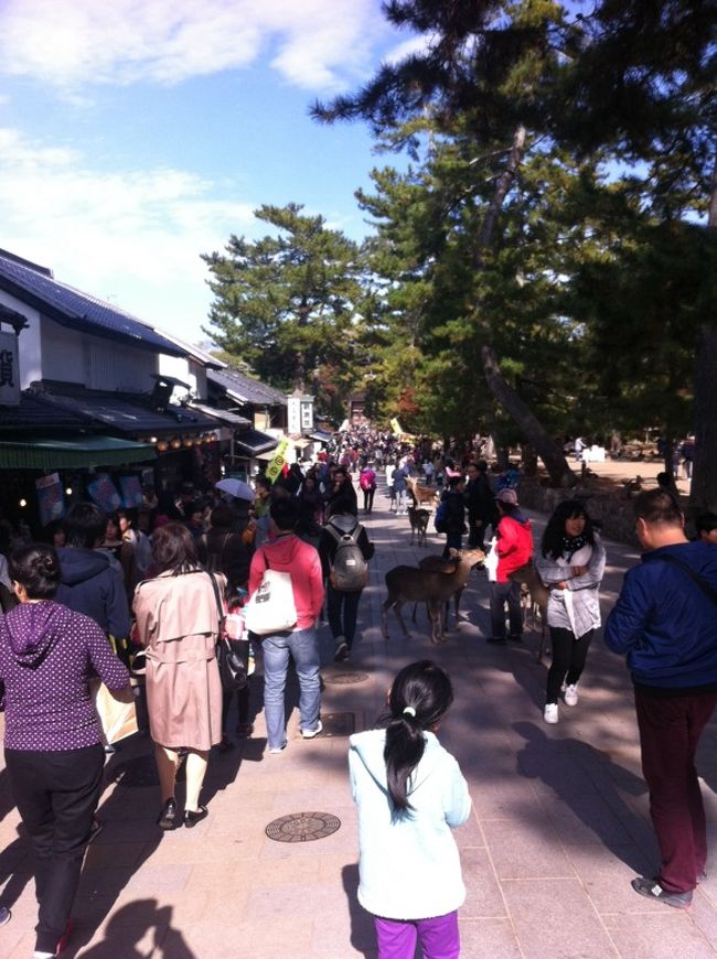 南港に到着後、先に大阪で泊まるホテルに荷物をあずけ、<br />その足で奈良公園に向かいます。<br /><br />私も中学生の修学旅行以来。<br />こんなに鹿多かったっけ？<br />奈良公園。鹿と鹿と、鹿・・・・。