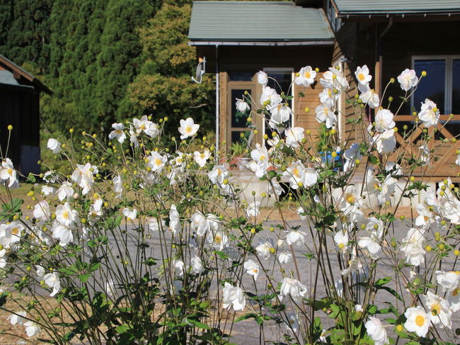 あんまり景色が素晴らしいので、<br /><br />車を道端に停めてちょっと撮影タイム。
