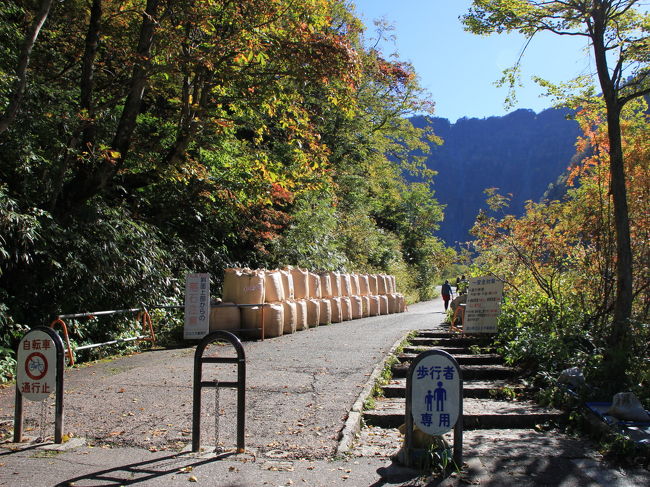 恰好は一人前だけど、坂道ちょいキツっ・・・