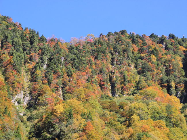 ほんのり紅葉って感じでしたが、<br /><br />これはこれで綺麗でした。