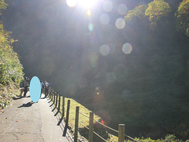 置いて行かれる・・・・<br /><br />おーーーーい！待ってぇぇぇぇ・・・・<br /><br />もう競争になっていました（笑）