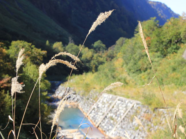 どこにカメラを向けても絵になる感じ。